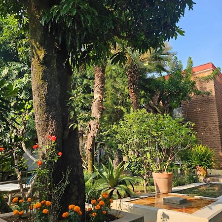 Casa Limon Malinalco Hotell Eksteriør bilde
