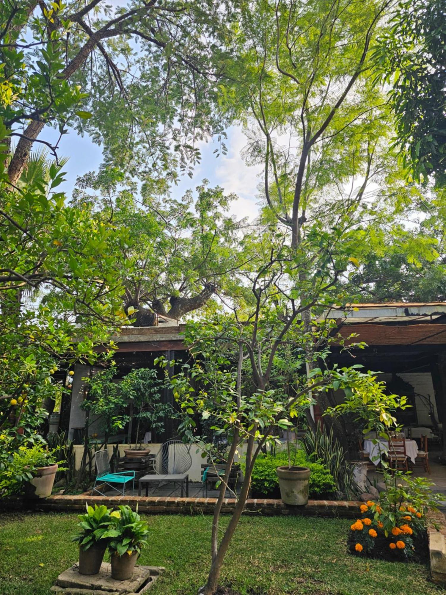 Casa Limon Malinalco Hotell Eksteriør bilde